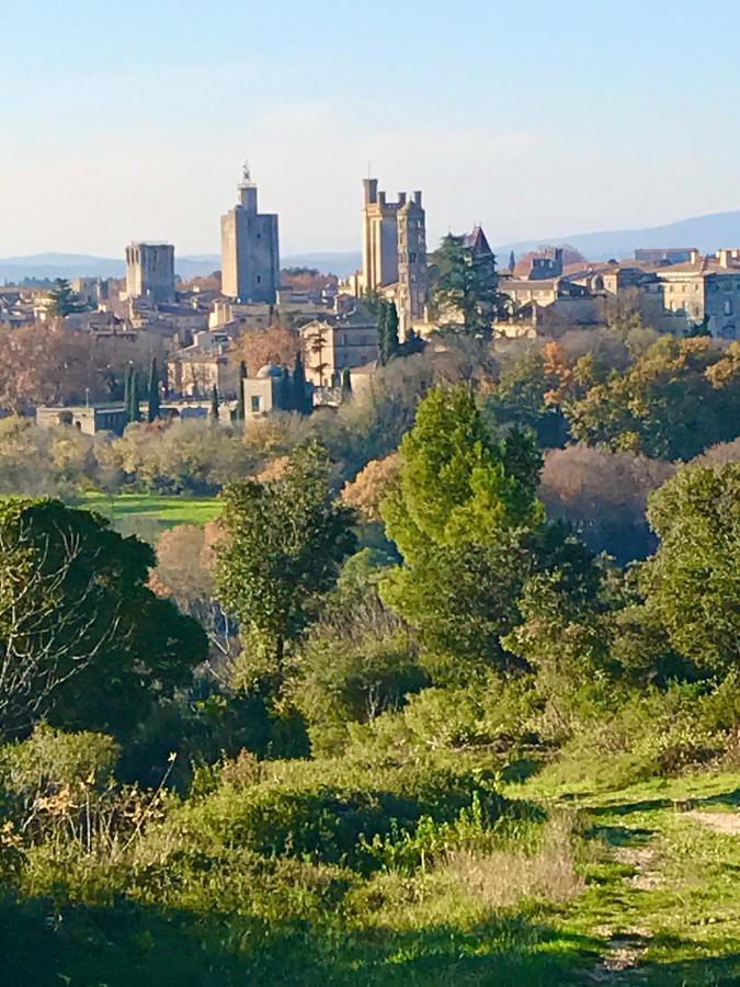 Maison De Roche-Uzes Centre Historique L' Ucetia Dış mekan fotoğraf